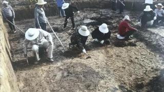 河南新野凤凰山遗址产业园考古发掘获重大发现