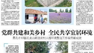 青岛市即墨区龙山街道：党群共建和美乡村，全民共享宜居环境