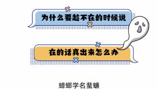 天冷了 大螂 该吃药了