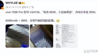 6500mAh巨无霸电池！vivo新机曝光，续航久到真离谱