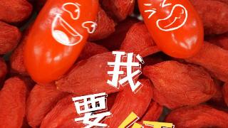 好品中国丨“红色名片”绘就“塞上江南”新画卷