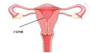 宫腔镜术后内膜“失灵”？“雌激素治疗新攻略”请收好！