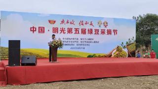 明光市第五届绿豆采摘节在涧溪镇开幕