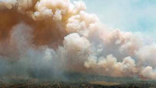 英媒：野火严峻，加拿大消防员缺编近一半