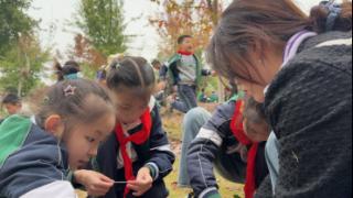 以观鸟之名 华中里学子守护鸟类家园