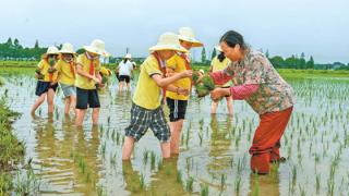 深入田间地头  了解美丽乡村（解码·思政课怎么上）