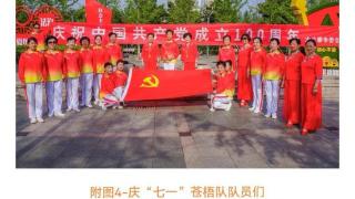 连云港市海州区老年体协木兰拳团队：弘扬民族之花，铸造健康幸福