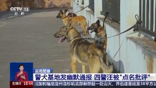 四只警犬被“点名批评” 其实可靠的它们各有绝活