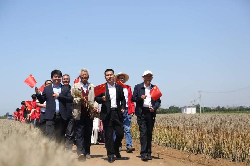 杨凌举办小麦文化节 多位专家为小麦抢收支招