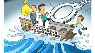 （图表·漫画）［法治］成功打掉