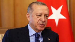 土耳其总统：调解加沙地带局势的计划不应停留在纸面上