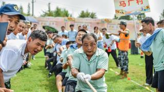 芜湖市镜湖区农民丰收节：农味十足趣味多