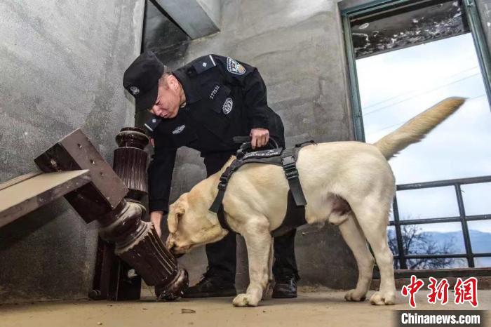 一人一犬的三载时光：战友间满满的难忘记忆