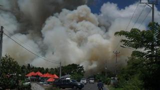 越南一国家公园发生火灾 浓烟高数百米