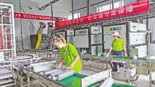 华池县山庄乡食用菌产业园工人在菌棒全自动化生产线上检查菌棒包装