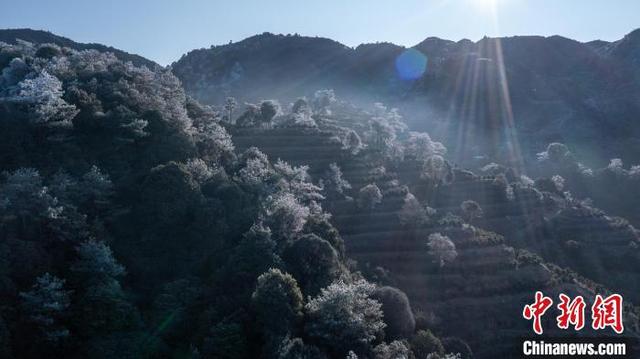 广东潮州凤凰山出现雾凇、冰挂景观
