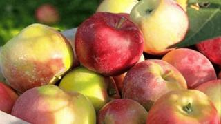 苹果是血管的“清洁工”？医生告诫：想要血管通畅，常吃这几物