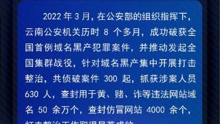 2022年云南公安十大典型案例发布