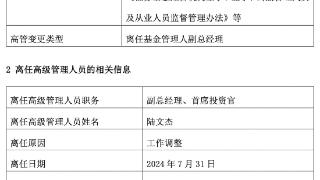 一日内三家公募副总经理离任，7月高管变更人数已创年内新高