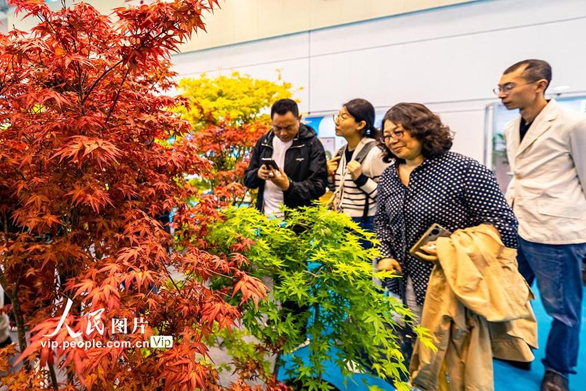 江苏苏州：2024花园大会暨国际花园设计周开幕
