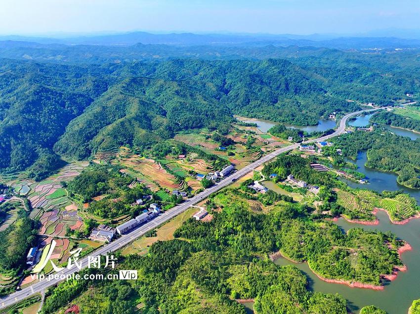 江西瑞金：路在景中延 车在绿中行