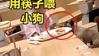 无语！上海一女子竟在餐厅与宠物狗共用餐具！嗦筷子太辣眼睛！