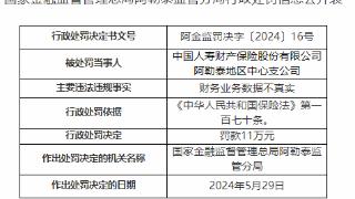 因财务数据不真实，中国人寿财险阿勒泰两支公司合计被罚23万元