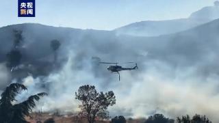 美国加州发生多起野火 扑救行动仍在持续