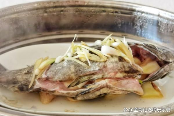 石斑鱼，是一种美味可口、营养丰富的海鱼，做法简单易学
