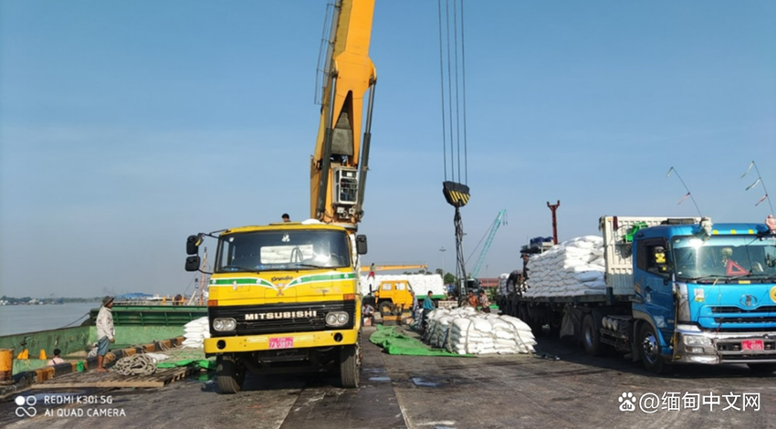 缅甸仰光各国际码头装载大米、玉米出口；水产品出口创汇
