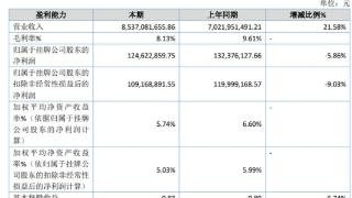 中建信息启动IPO辅导近五年：年入193亿元，中国建材控股54.6%