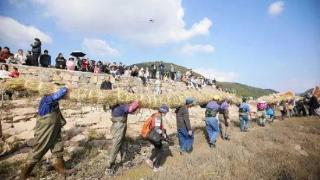 象山墙头：“鱼王”闪亮登场引来游客围观