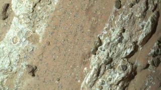 “豹纹”岩芯样本或为火星远古微生物的新证据