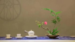 探寻成都品茶工作室QT文化：品味香茗中自带的生活哲学