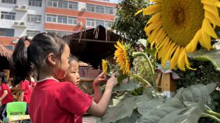 悠悠夏日长 孩童写生忙——利津县第二实验幼儿园开展向日葵写生活动