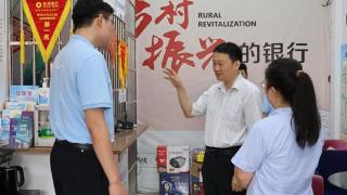 “土”生“金”，普惠金融助力梧州茶文旅产业高质量发展