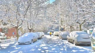 山东烟台迎来今年冬天第一场大雪