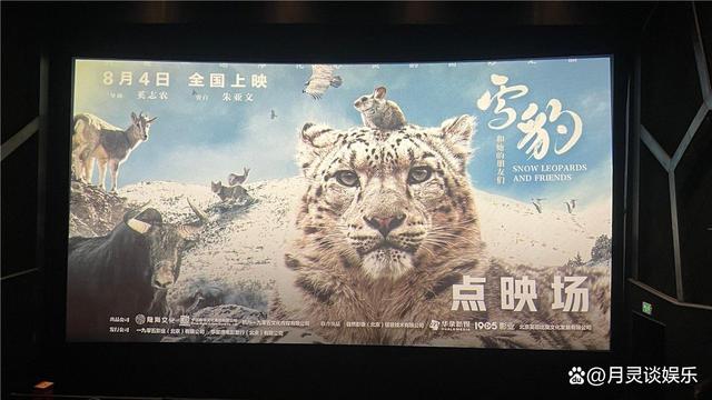 《雪豹和她的朋友们》点映开始，电影圈关注！