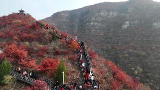 汲取奋进力量 河北两地新闻工作者开展徒步太行步道活动