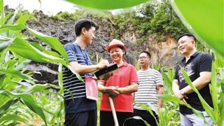 落实人大监督 跟踪生态修复