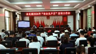 湘阴县金龙镇开展安全生产月宣传活动