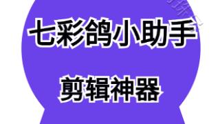 七彩鸽小助手-内卷时代，普通人有机会入局自媒体吗