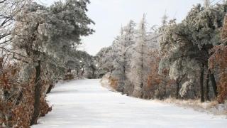 这个冬天，沂蒙山龟蒙景区冰雪奇缘之旅让您嗨个够