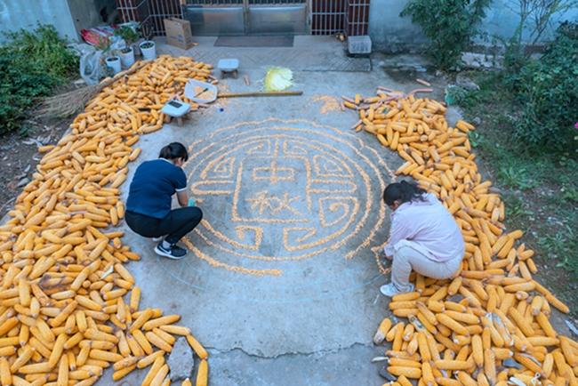 莒县：丰收“月饼”庆中秋