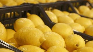 柠檬能“杀死”12种癌，比化疗强一万倍？告诉你真相！