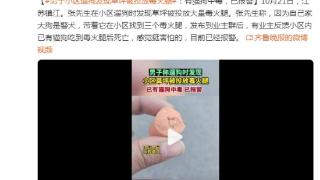 小区草坪被投放大量毒火腿，业主称已报警