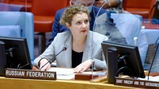 俄代表谈安理会苏丹问题决议：脱离现实