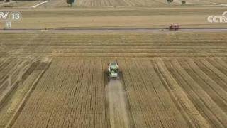 农业农村部小麦机收调度显示全国已收7500多万亩
