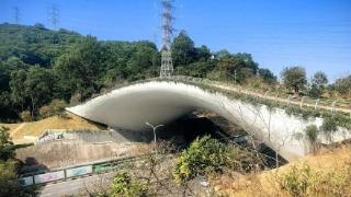 深圳完工一座独特的桥，连接银湖山和梅林山