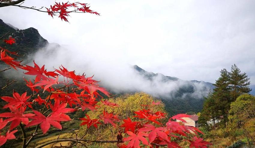 聊聊王维的诗《山居秋暝》